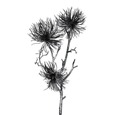 Decoratiune brad, crenguta de Nucul vrajitoarelor, negru-argintiu, 56 cm