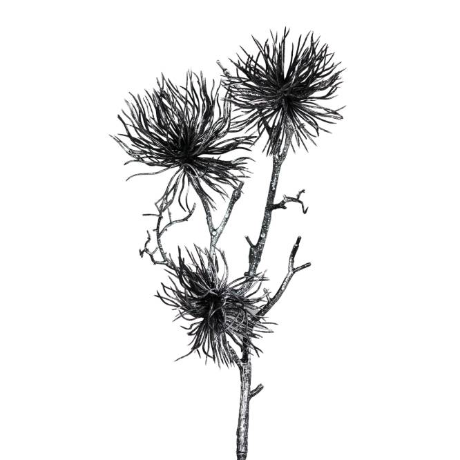 Decoratiune brad, crenguta de Nucul vrajitoarelor, negru-argintiu, 56 cm
