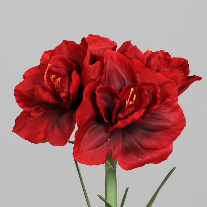 Amaryllis artificiala rosie in vas ceramic gri, 50 cm