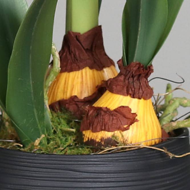 Amaryllis artificiala rosie in vas ceramic gri, 50 cm