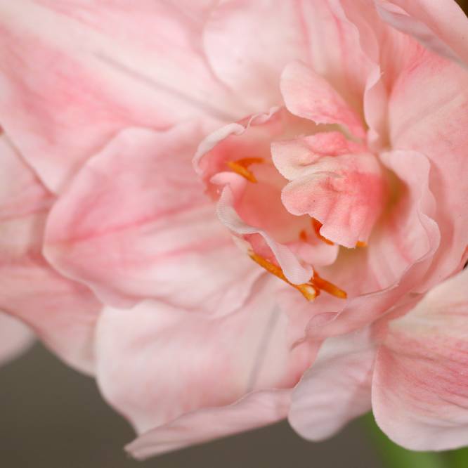 Aranjament premium cu 5 fire de amaryllis artificiale roz in vas de sticla, 53 cm