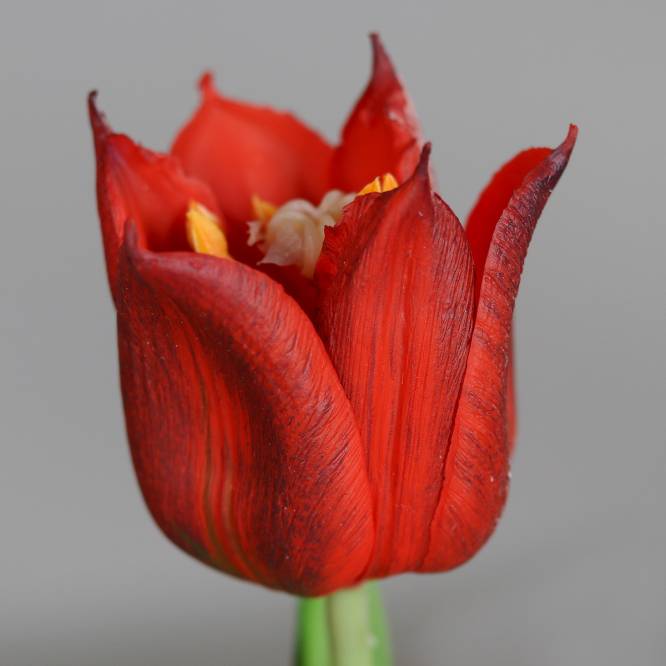 Lalea artificiala la fir, culoare rosie, 24 cm