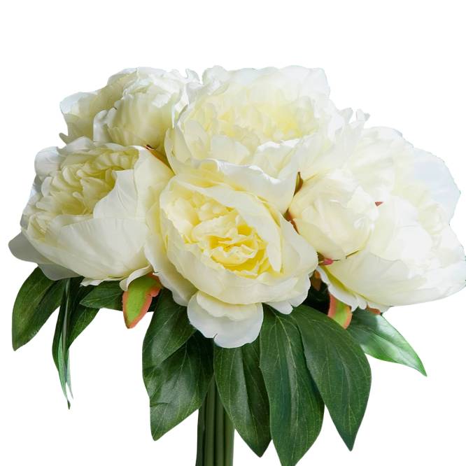 Buchet artificial bujori crem, 30 cm