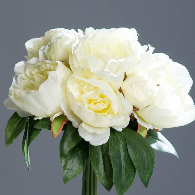 Buchet artificial bujori crem, 30 cm