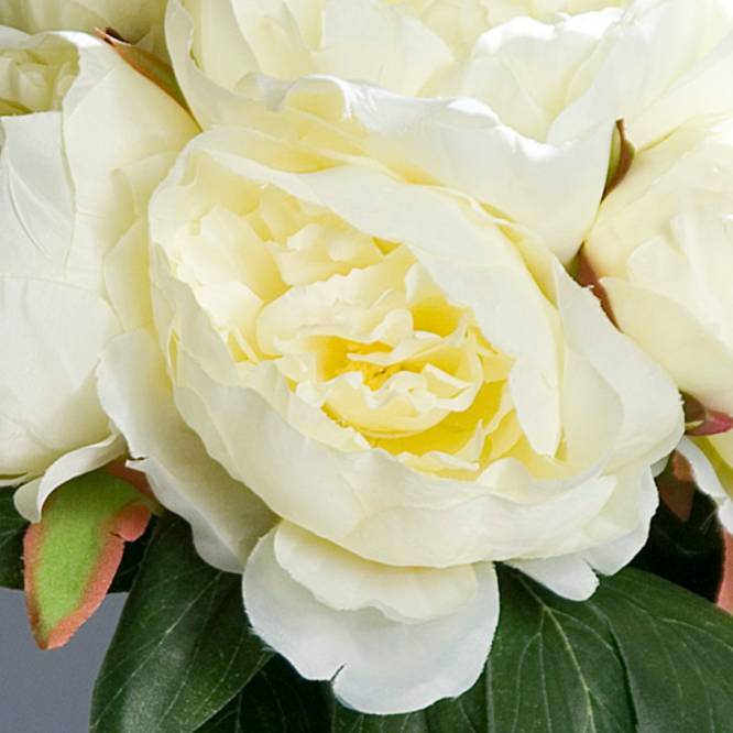 Buchet artificial bujori crem, 30 cm