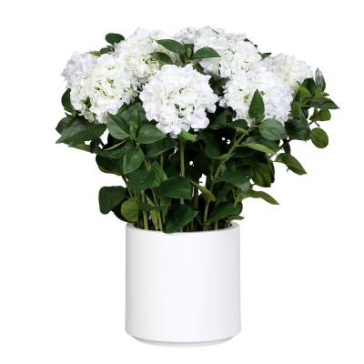 Hortensii artificiale albe in tufa de 10 fire in vas de plastic, 74 cm