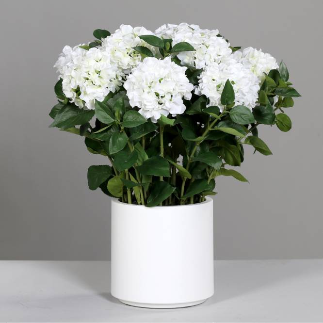 Hortensii artificiale albe in tufa de 10 fire in vas de plastic, 74 cm