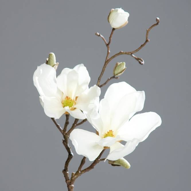 Set 3 crengute de magnolie artificiale, culoare alba, 48 cm