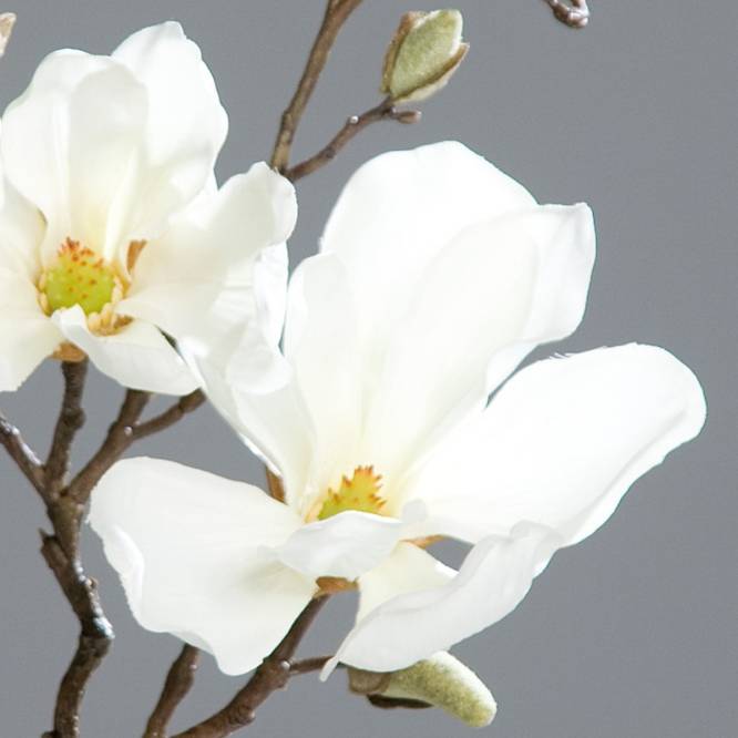 Set 3 crengute de magnolie artificiale, culoare alba, 48 cm