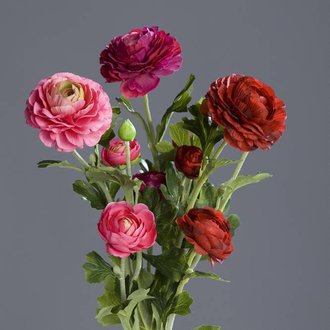 Buchet de 3 fire de Ranunculus artificiale cu nuante de fucsia si roz 62 cm