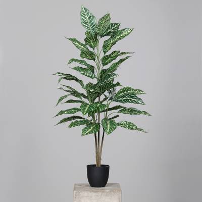 Dieffenbachia artificiala aspect 100% natural 100 cm