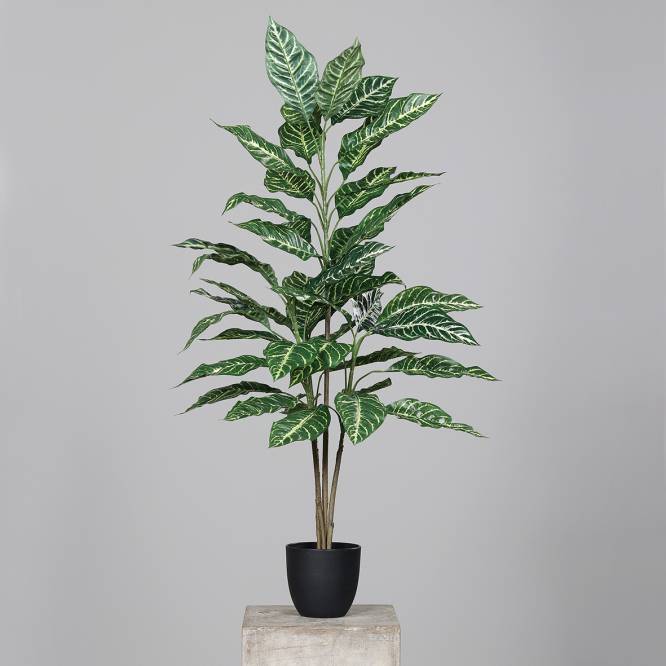 Dieffenbachia artificiala aspect 100% natural 100 cm
