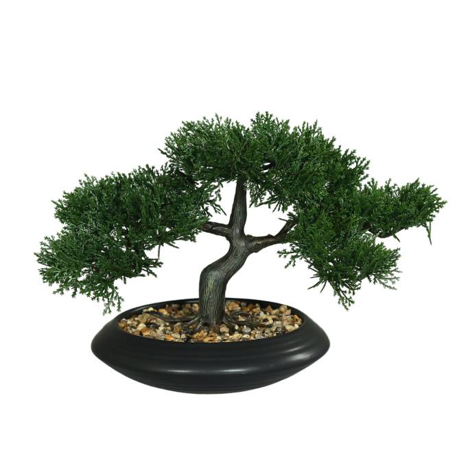 Bonsai pin in vas ceramic negru 20 cm