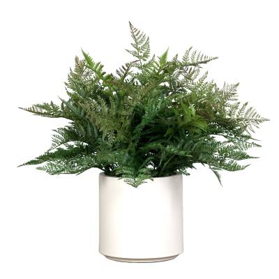Feriga artificiala in tufa, in vas de plastic alb, 70 cm