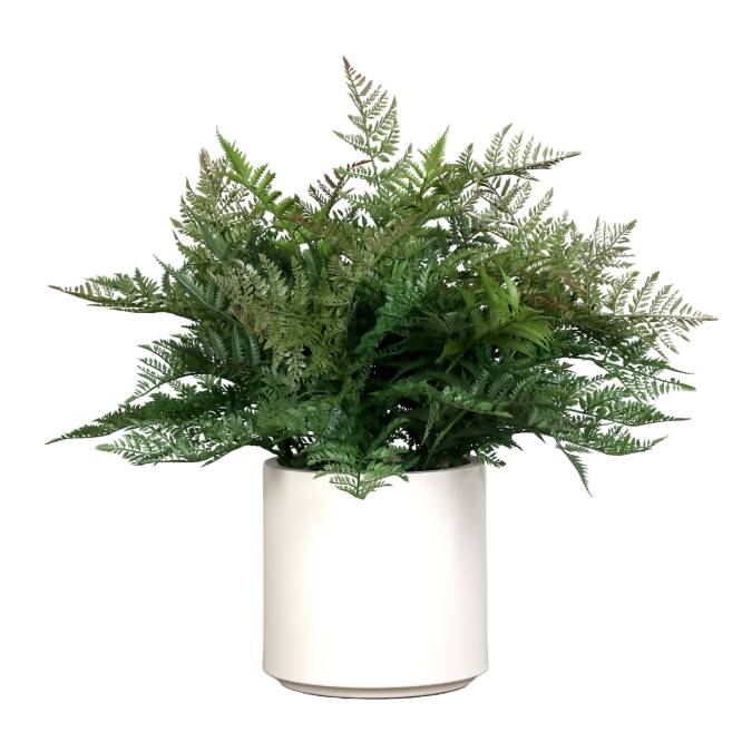 Feriga artificiala in tufa, in vas de plastic alb, 70 cm