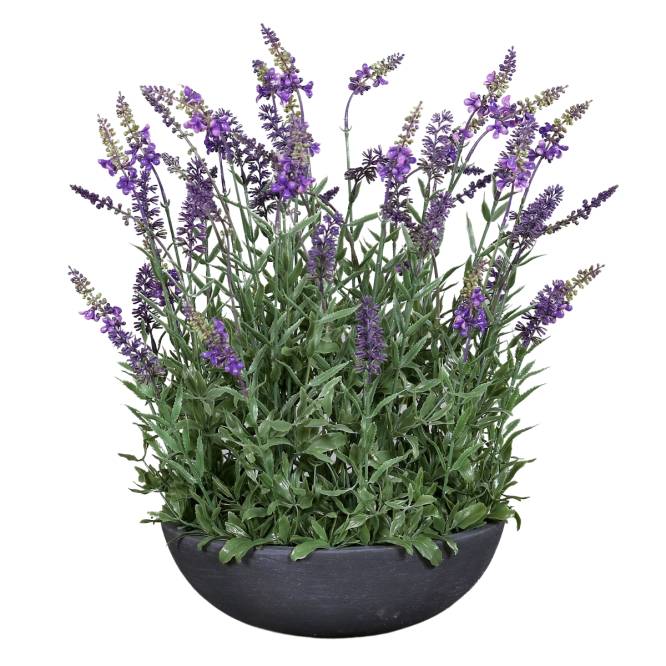 Aranjament flori de lavanda artificiale in vas de plastic gri, 45 cm