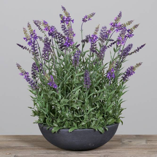 Aranjament flori de lavanda artificiale in vas de plastic gri, 45 cm