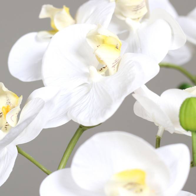 Orhidee artificiala alba in ghiveci negru de metal cu picioare, 100 cm