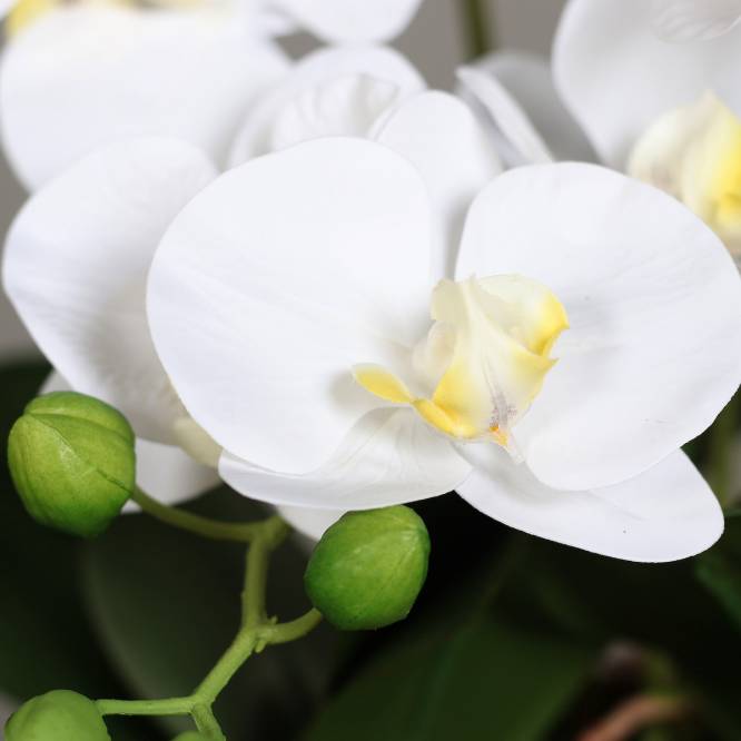 Orhidee artificiala alba in ghiveci negru de metal cu picioare, 100 cm