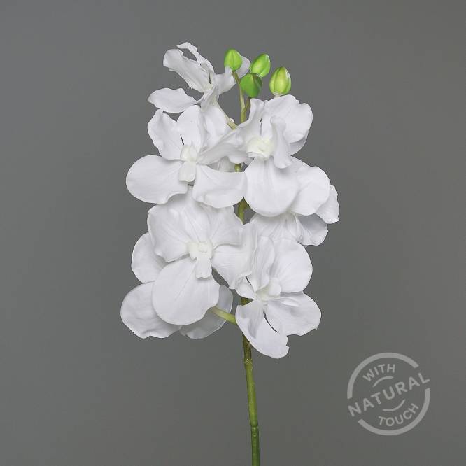 Orhidee artificiala la fir, culoare alba, 74 cm