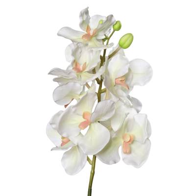Orhidee artificiala la fir, culoare crem, 74 cm