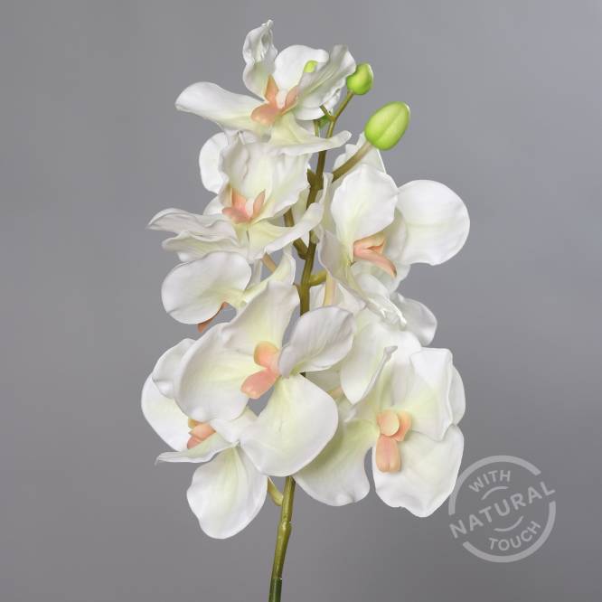 Orhidee artificiala la fir, culoare crem, 74 cm