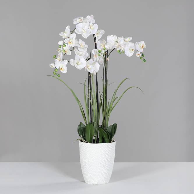 Aranjament cu orhidee artificiala alba si iarba in vas ceramic, 120 cm