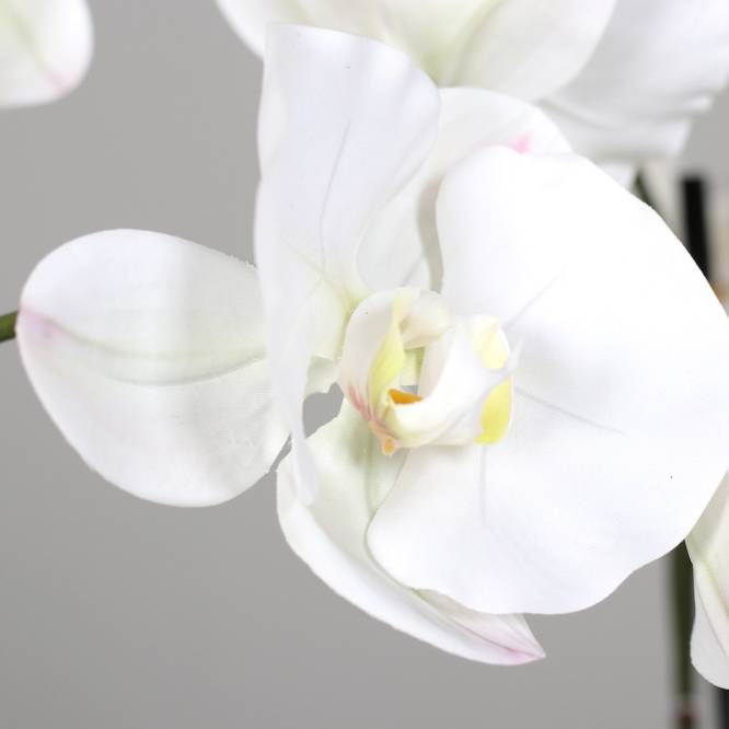 Aranjament cu orhidee artificiala alba si iarba in vas ceramic, 120 cm