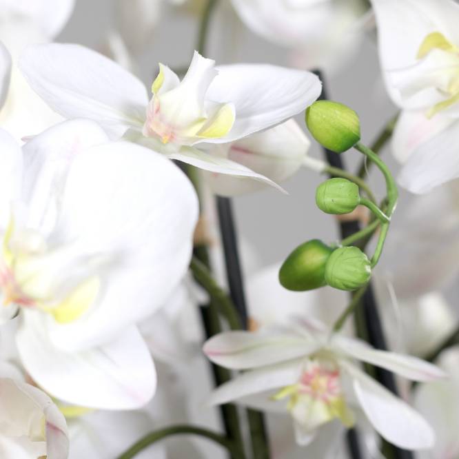 Aranjament cu orhidee artificiala alba si iarba in vas ceramic, 135 cm