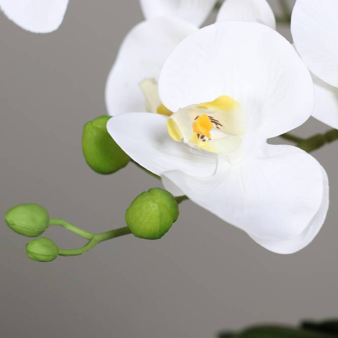 Orhidee artificiala alba in ghiveci negru de metal cu picioare, 85 cm