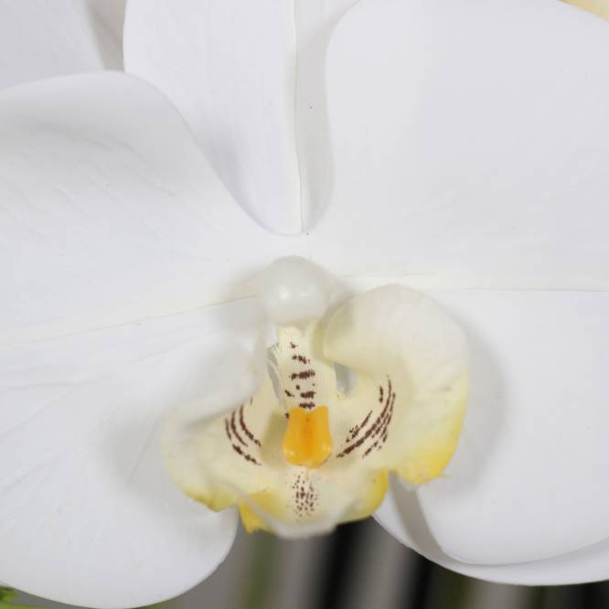 Orhidee artificiala alba cu aspect natural, in bila de pamant, 110 cm