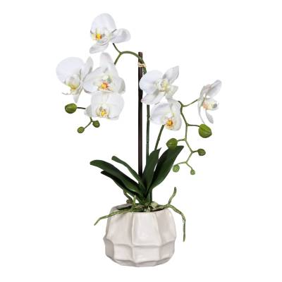 Orhidee artificiala Phalaenopsis alba in vas ceramic alb, 48 cm