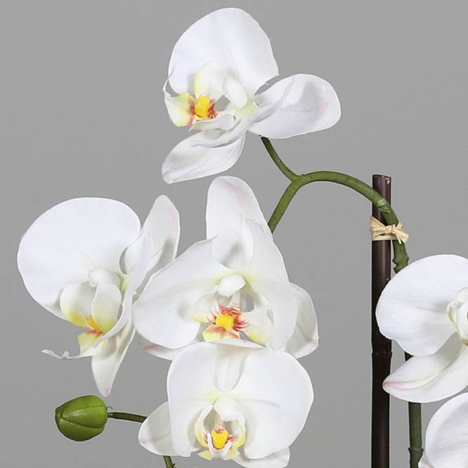 Orhidee artificiala Phalaenopsis alba in vas ceramic alb, 48 cm