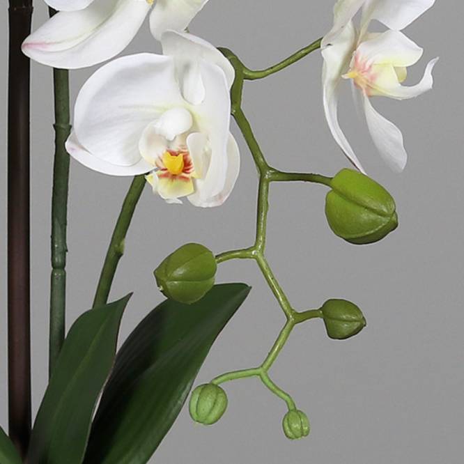 Orhidee artificiala Phalaenopsis alba in vas ceramic alb, 48 cm