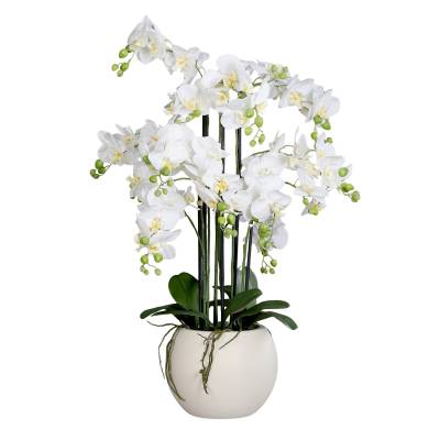 Aranjament cu orhidee artificiala alba in vas de plastic, 85 cm