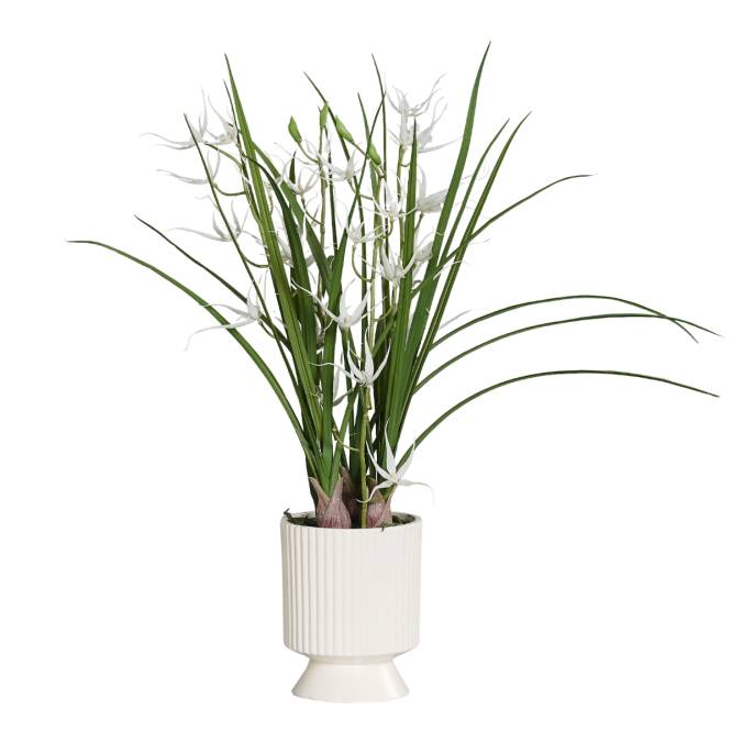 Aranjament cu orhidee artificiala Spider alba in vas ceramic, 67 cm