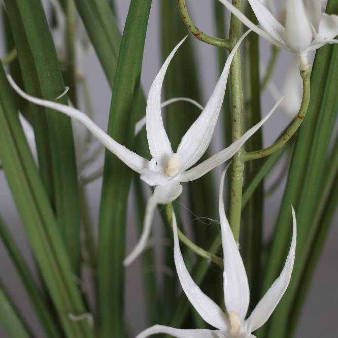 Aranjament cu orhidee artificiala Spider alba in vas ceramic, 67 cm