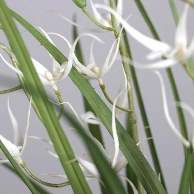 Aranjament cu orhidee artificiala Spider alba in vas ceramic, 67 cm