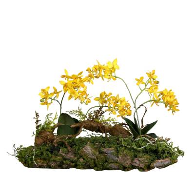 Aranjament artificial cu orhidee galbena, pe suport lemnos cu muschi, 50 cm