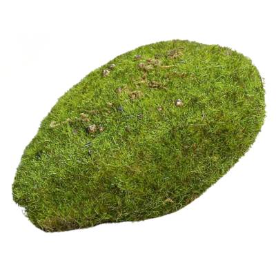 Muschi artificial decorativ 10 x 7 cm