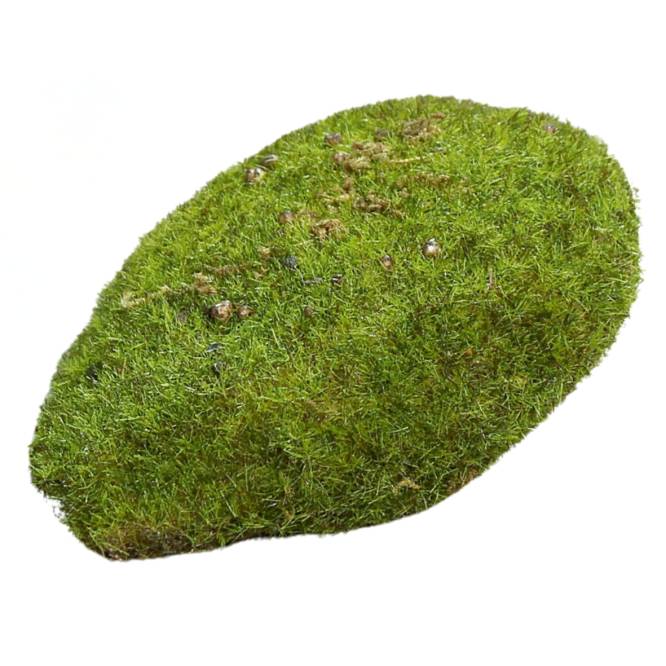 Muschi artificial decorativ 10 x 7 cm