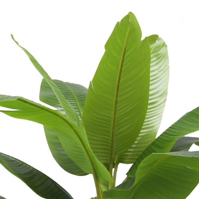 Planta decorativa artificiala bananier in ghiveci de plastic, 200 cm