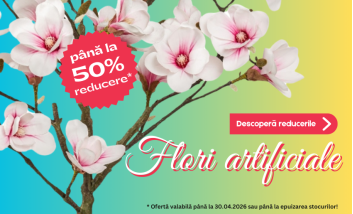 DecorTrendy   