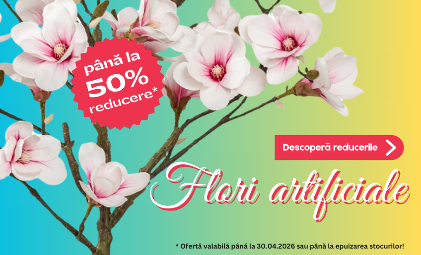 DecorTrendy   