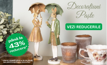 DecorTrendy   