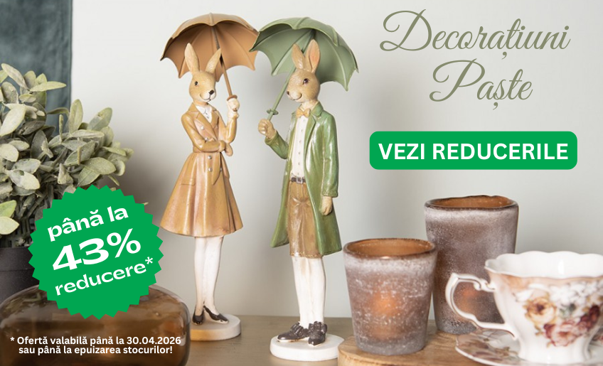 DecorTrendy   