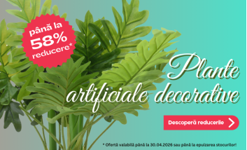 DecorTrendy   