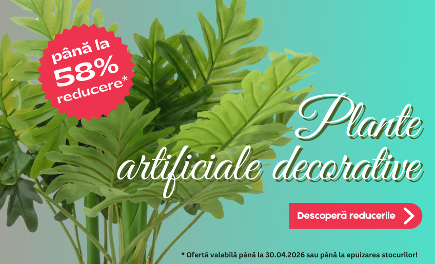 DecorTrendy   