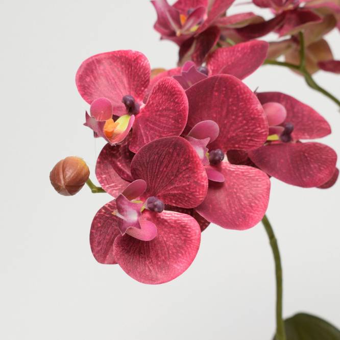 Orhidee Phalaenopsis burgundy artificiala in vas argintiu ceramic, 54 cm