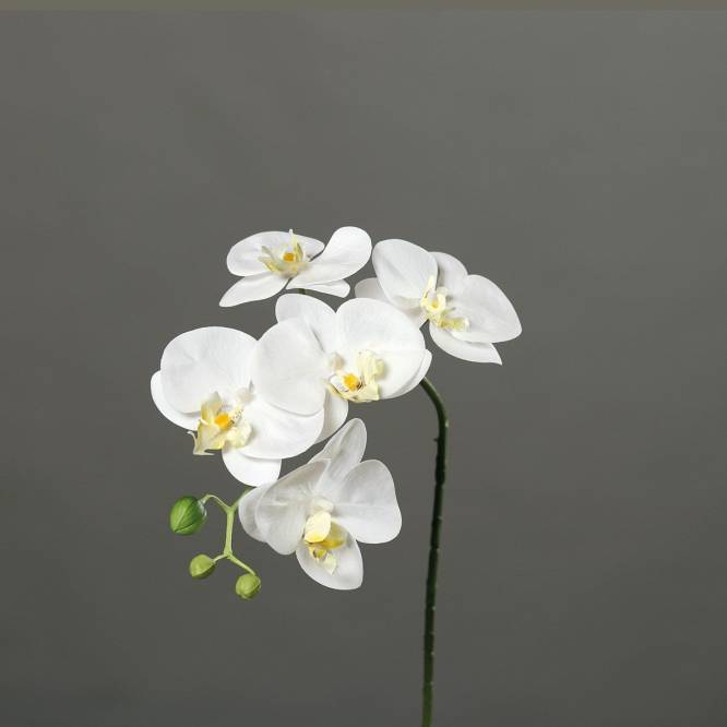 Orhidee artificiala Phalaenopsis alba cu aspect 100% natural, 52 cm